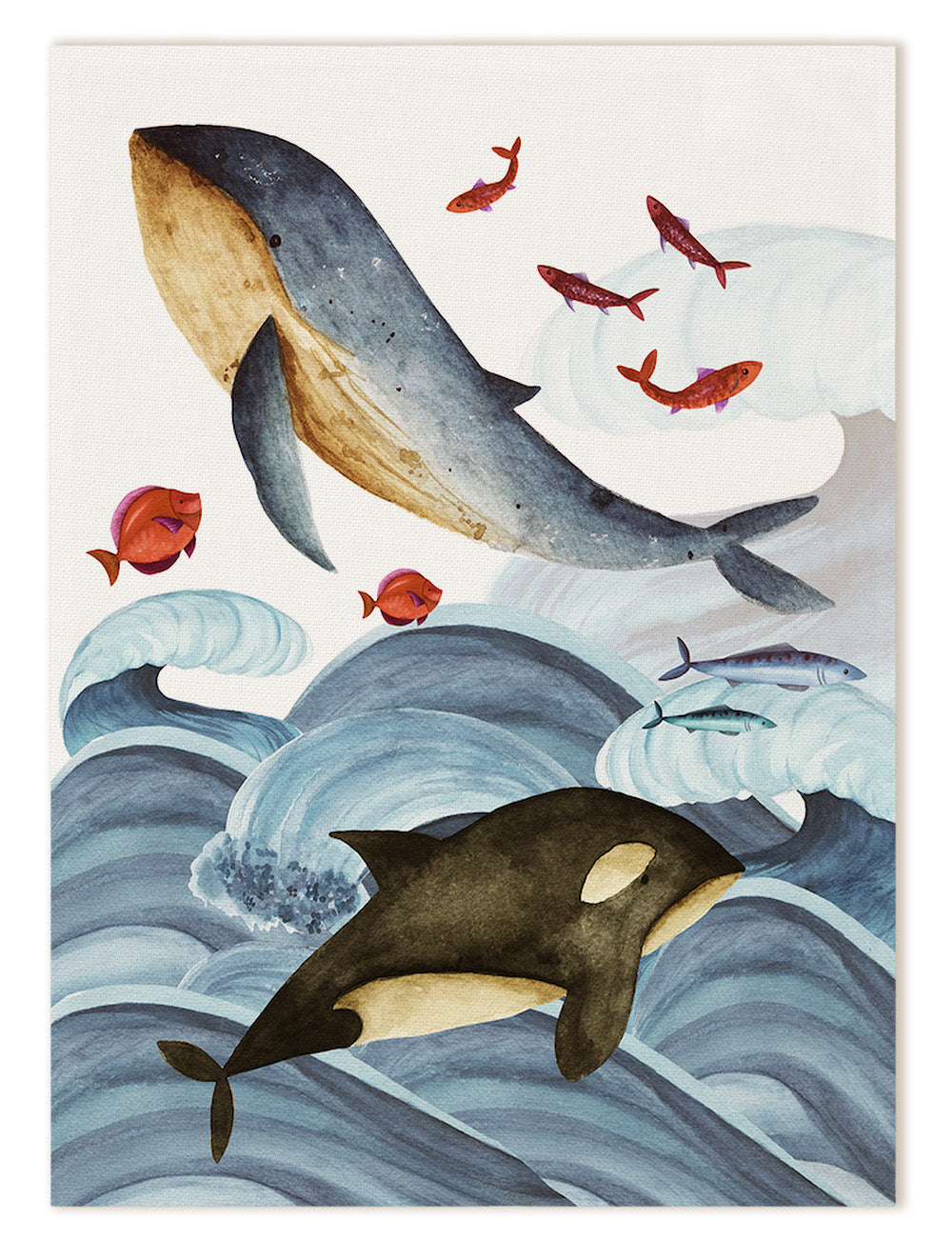 Kitchen Towels «Balene», 100% Made in Italy - The Napking