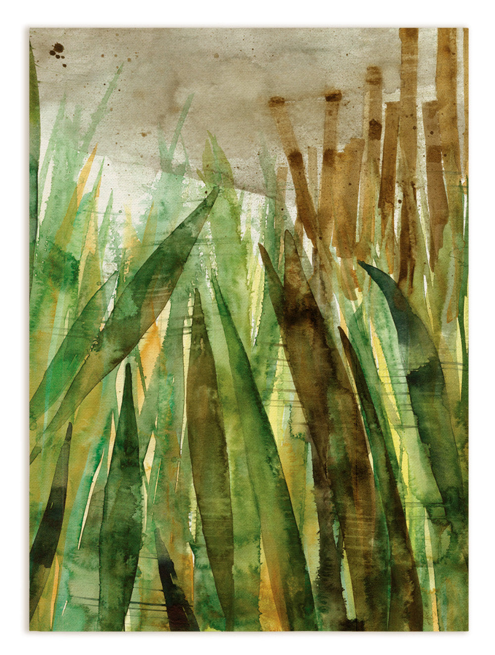 Küchentücher «Bamboo», 100% Made in Italy The Napking