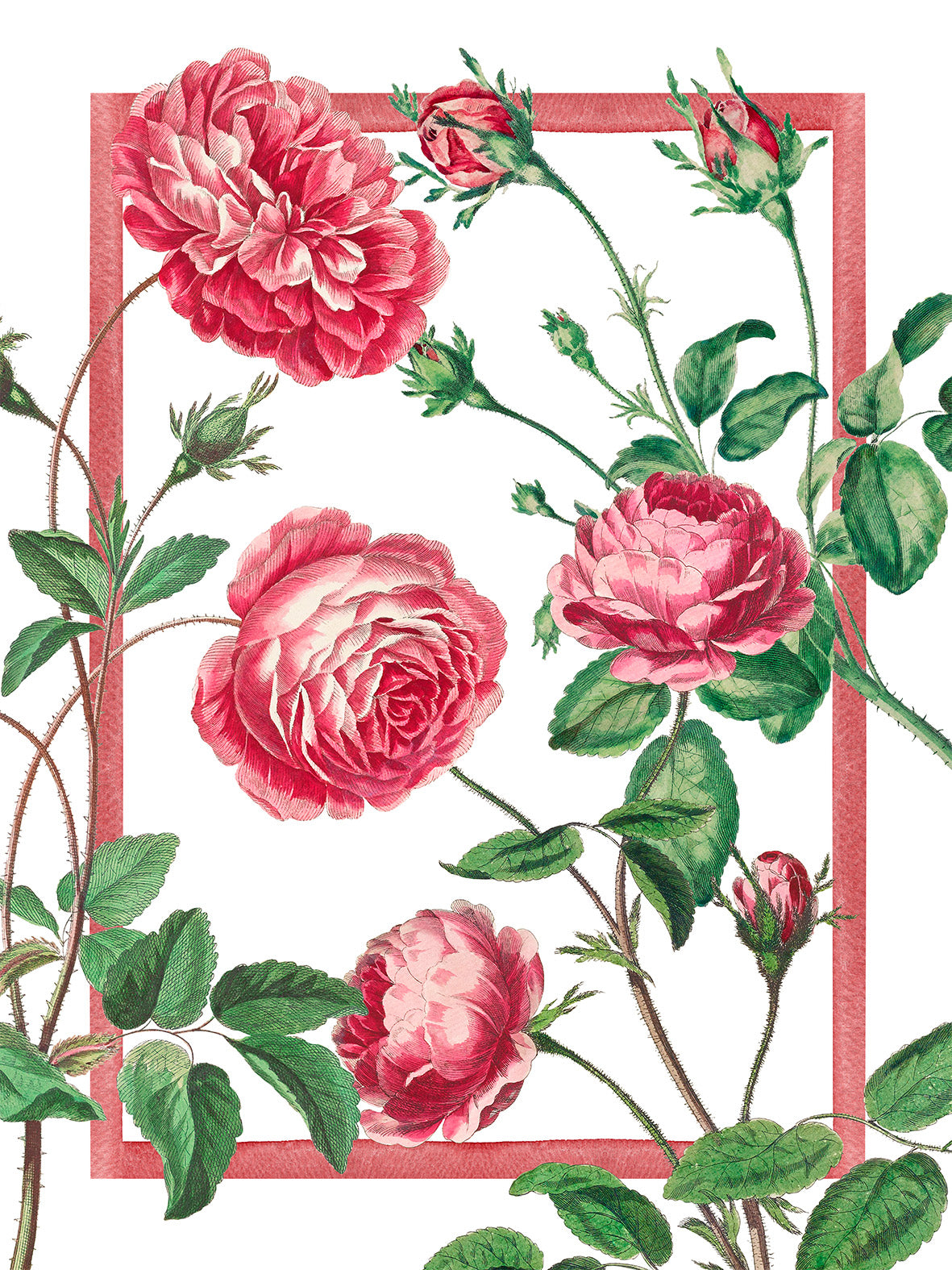 Cecile Kitchen Towels Premium Quality Linen