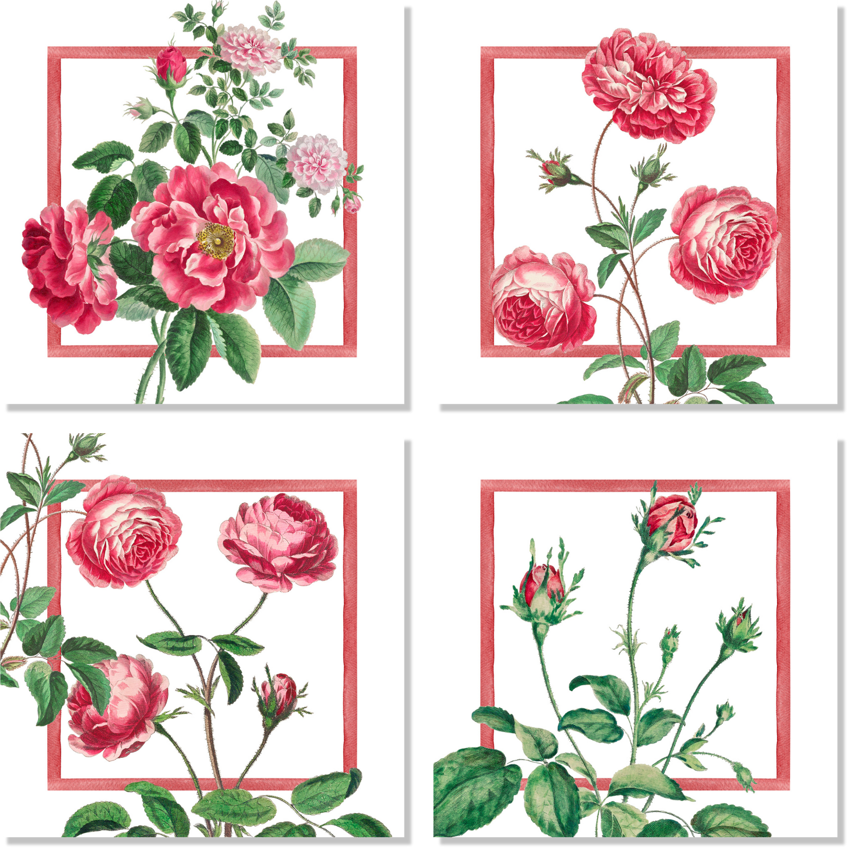 Cecile Set Of 4 Napkins Premium Linen