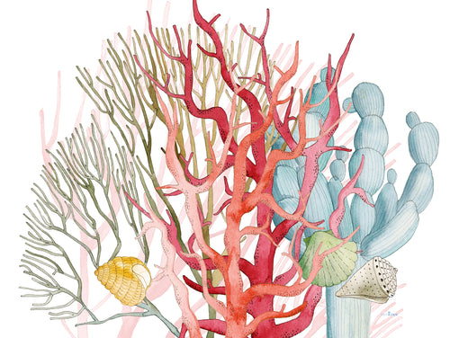 Set de 2 Corals sets de table Stone Mat en PVC