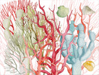 Set of 2 rectangular hardboard manteles individuales «Corals», 100% Made in Italy - The Napking