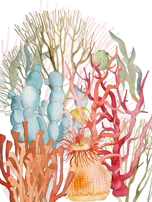 Kitchen Towels «Corals», Premium Quality Linen 100% Made in Italy