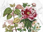Dafne rectangular hardboard and cork placemats with botanical print
