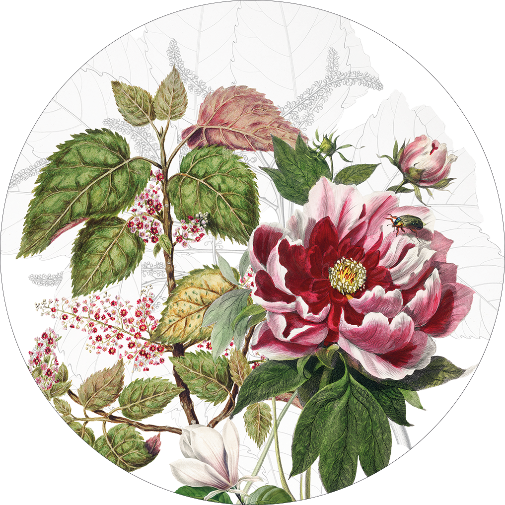 Set of 2 round hardboard placemats Dafne - The Napking