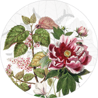 Dafne round hardboard and cork placemats with botanical print, 39 cm