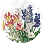 Dafne round hardboard and cork placemats with botanical print, view 3