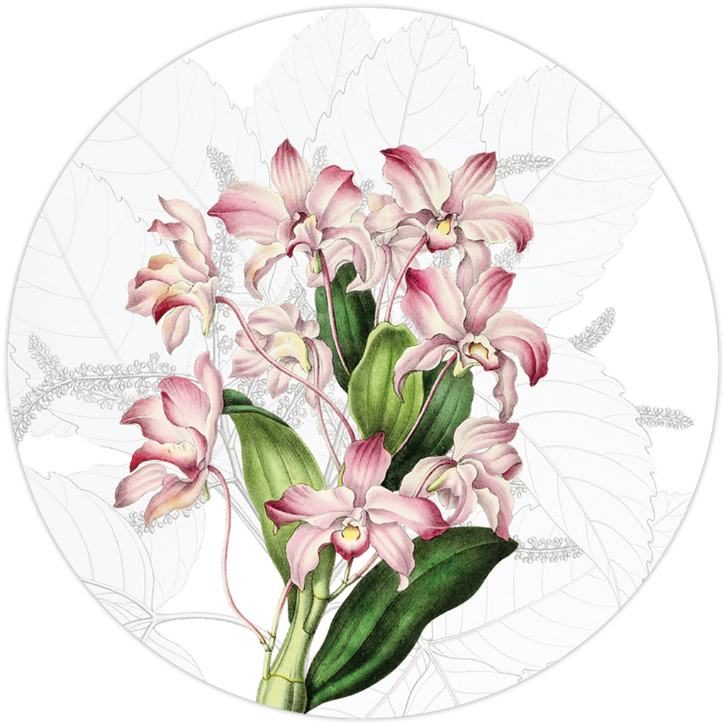 Set of 2 coasters Dafne wood cork - The Napking
