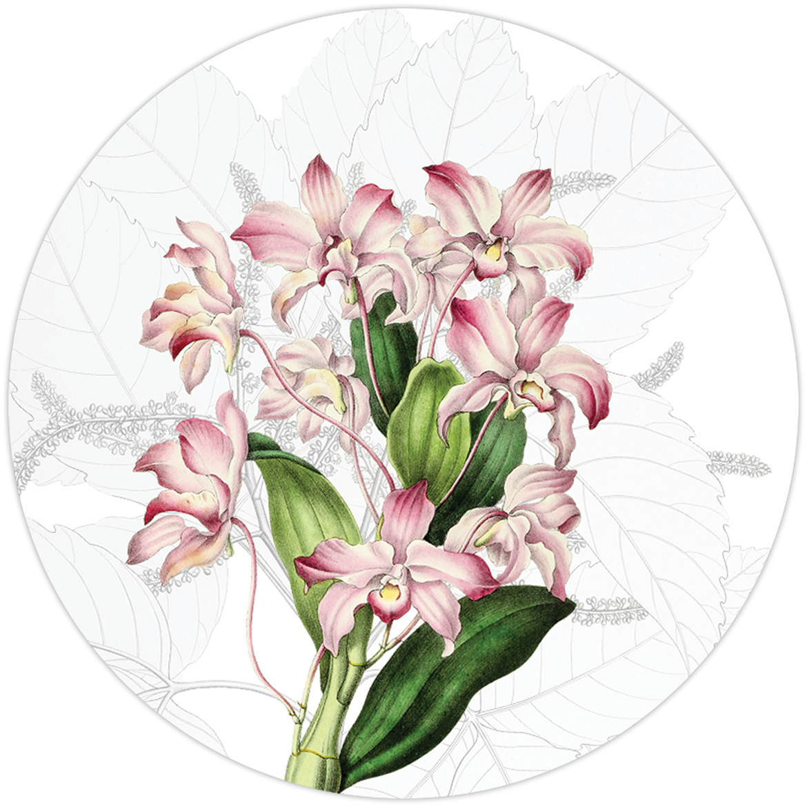 Set of 2 coasters Dafne wood cork - The Napking