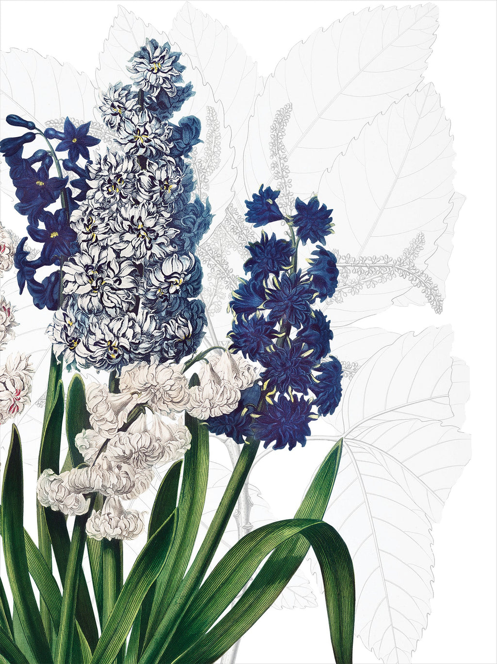 Kitchen Towels Dafne 100% Made in Italy The Napking