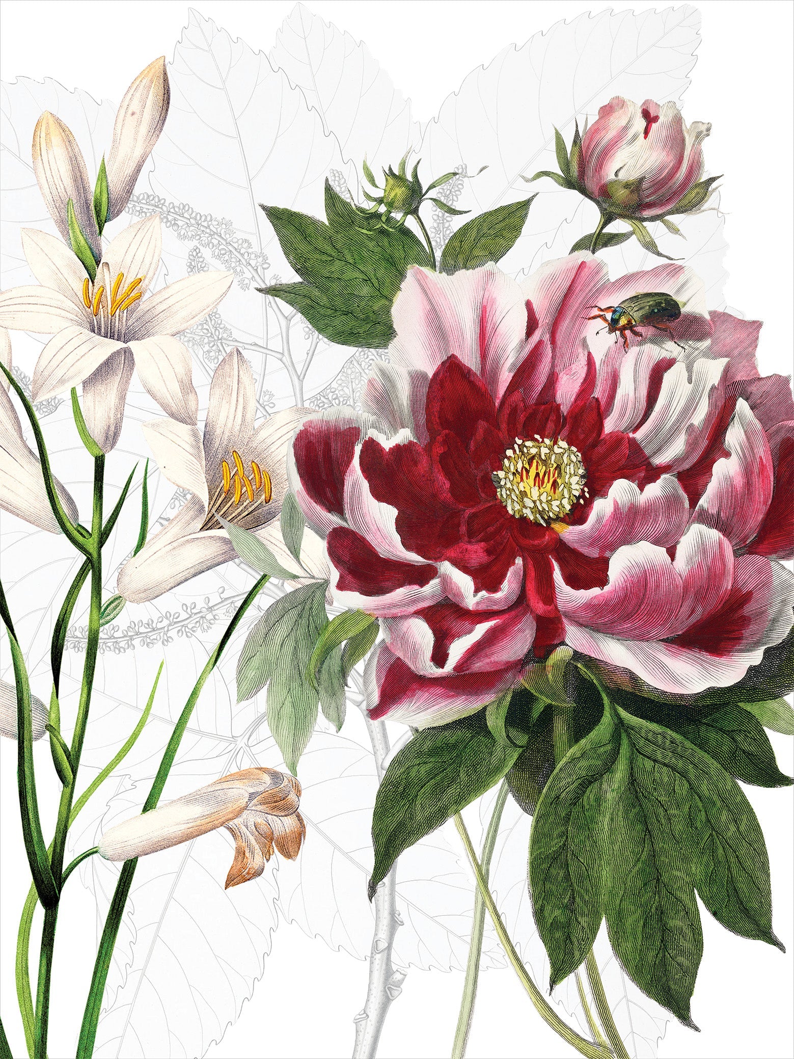 Kitchen Towels Dafne 100% Made in Italy - The Napking