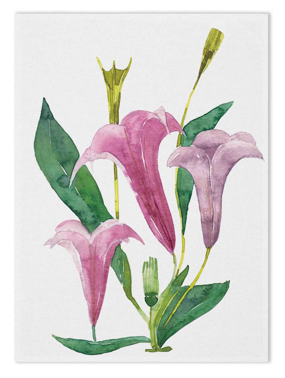Kitchen Towels «Datura», 100% Made in Italy - The Napking