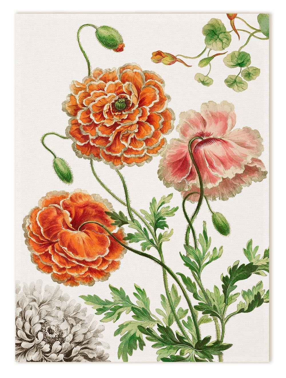 Kitchen Towels «Edward», 100% Made in Italy - The Napking