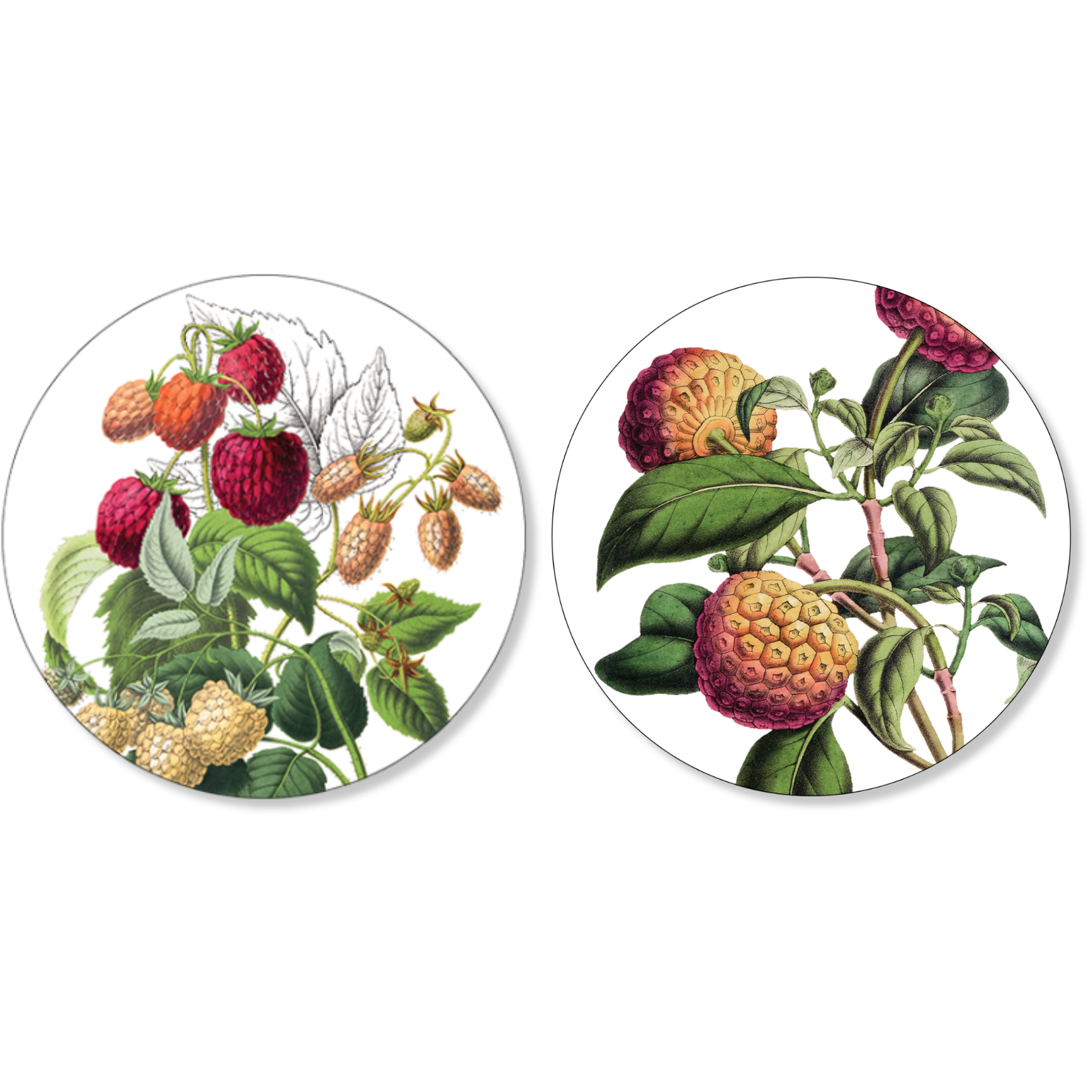 Set of 2 coasters Exotica wood and cork - 100% Made in Italy