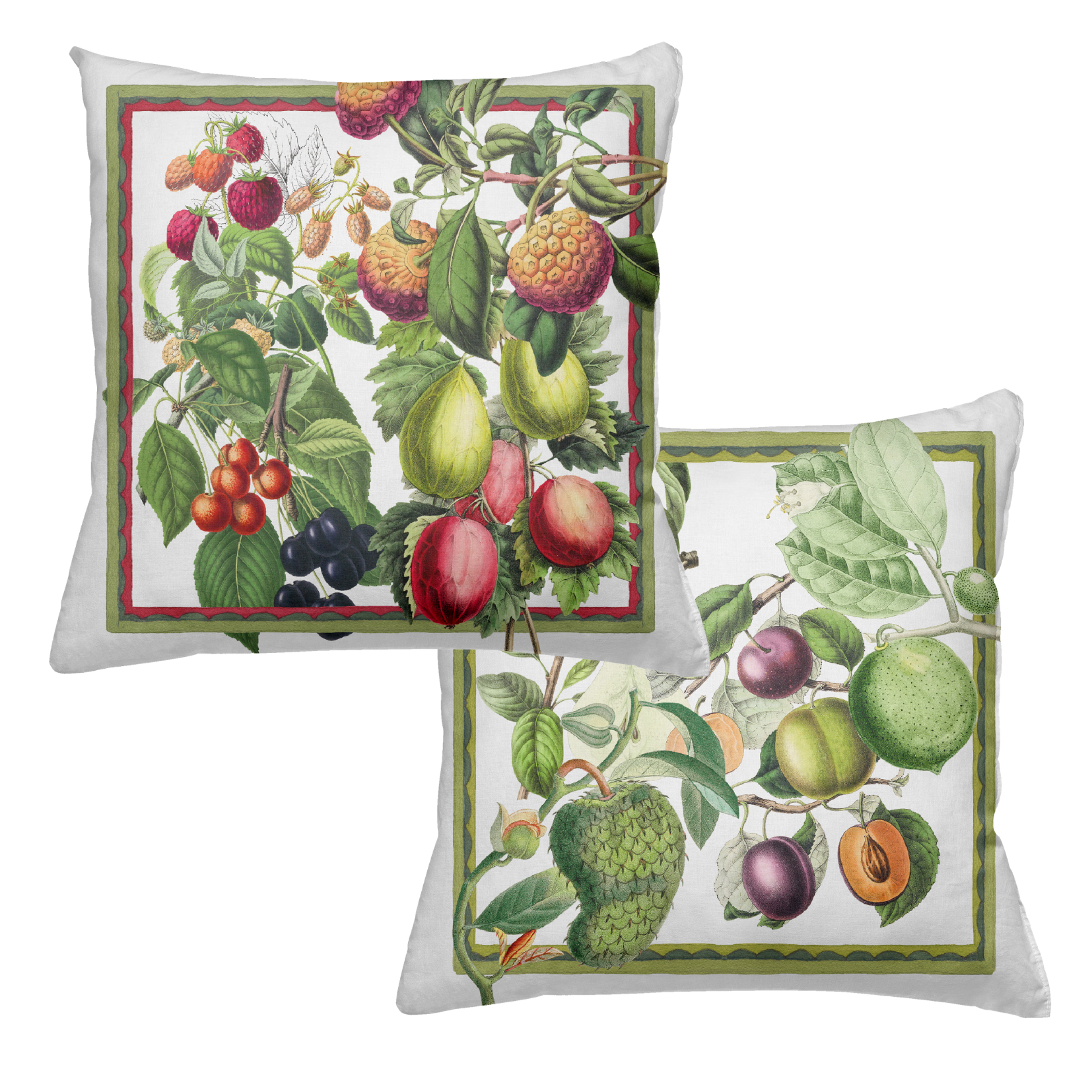 Cushion Exotica, 100% Made in Italy