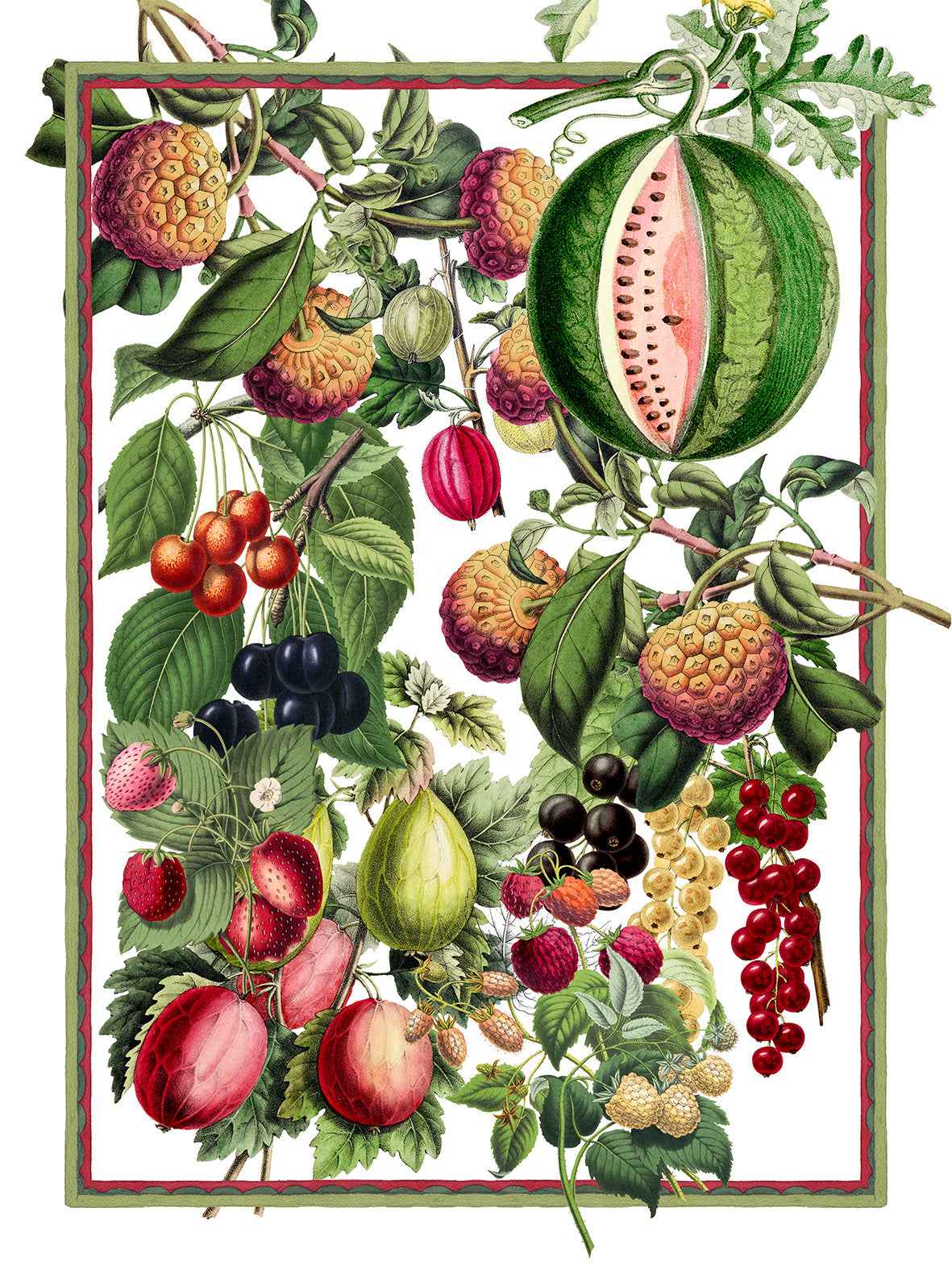 Kitchen Towels Exotica, 100% Made in Italy