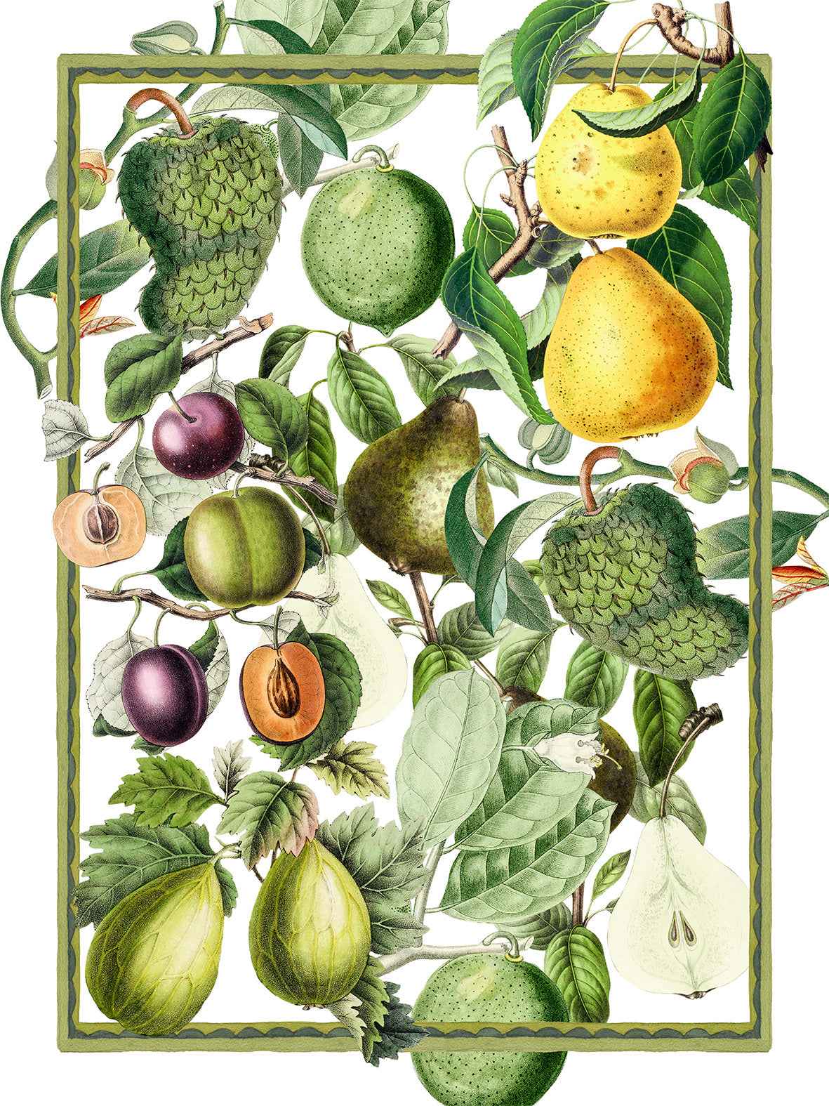 Kitchen Towels Exotica, 100% Made in Italy