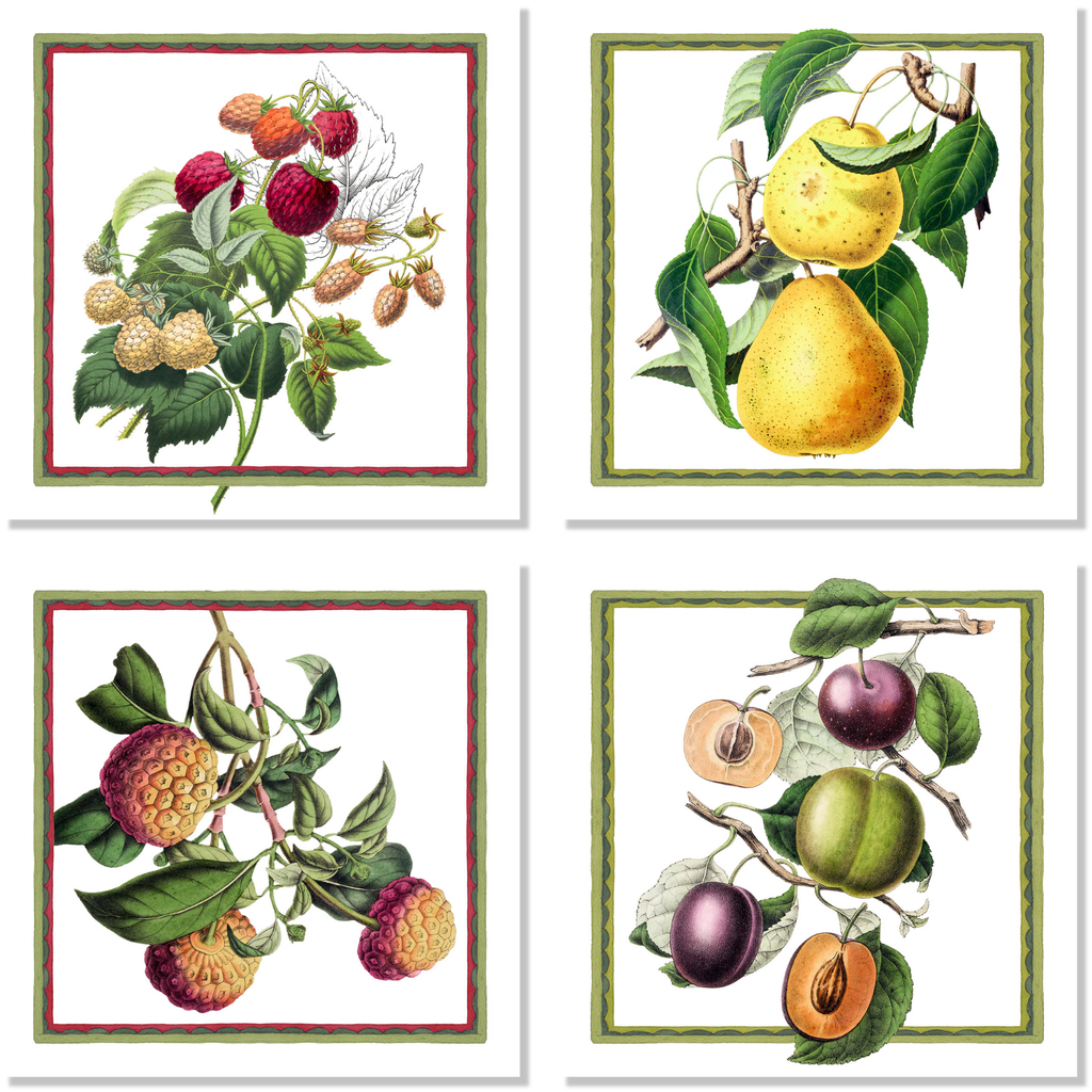 Set Of 4 Napkins Exotica 100% Made in Italy