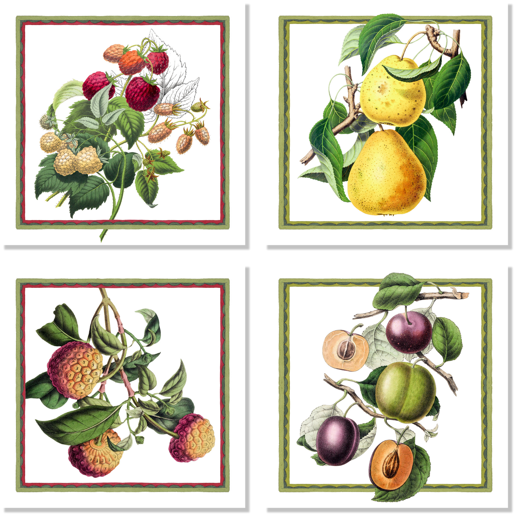 Set Of 4 Napkins Exotica 100% Made in Italy