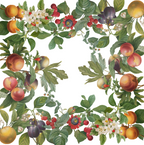 Tablecloths «Fruit Love»  100% Made in Italy - The Napking