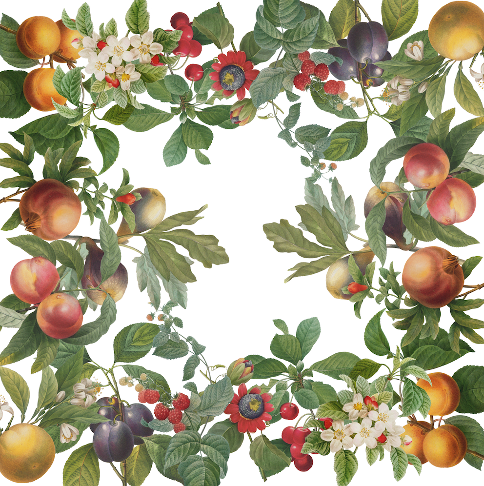Mantels «Fruit Love»  100% Made in Italy - The Napking