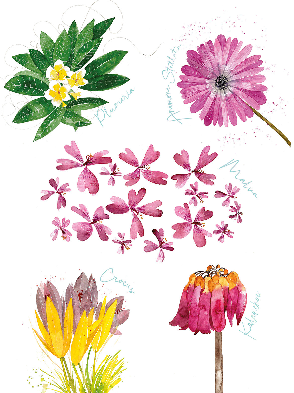 Flora Rosa Kitchen Towels Premium Linen