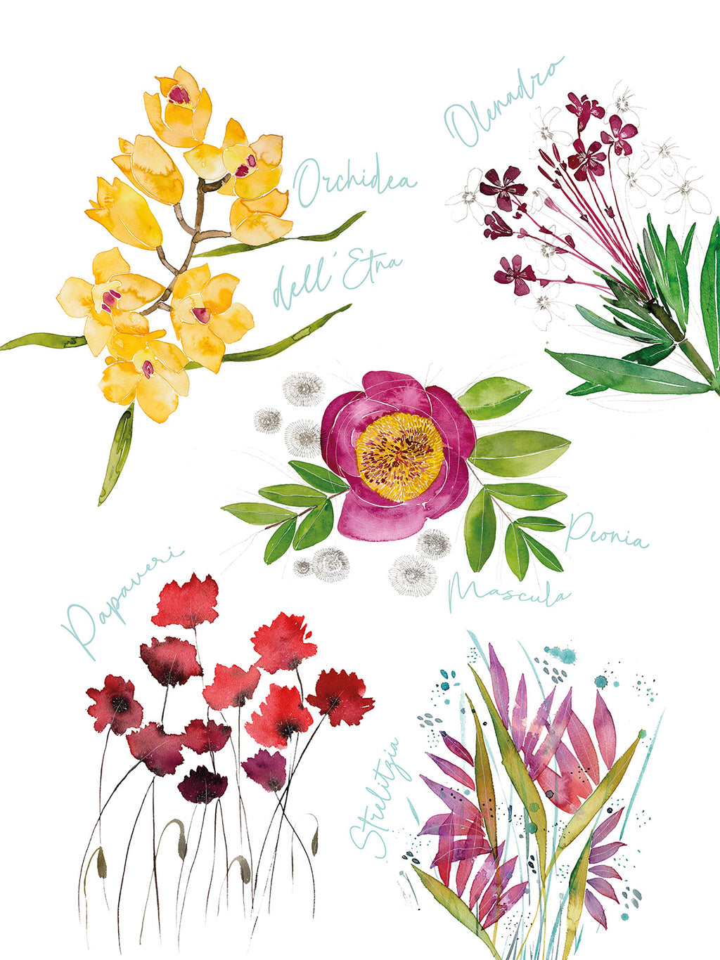 Flora Rosa Kitchen Towels Premium Linen