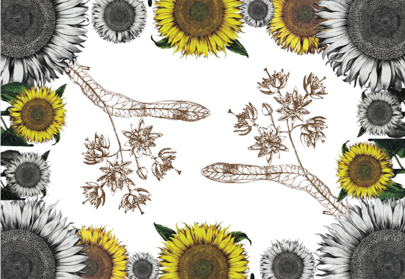 Tablecloths «Helianthus» 100% Made in Italy