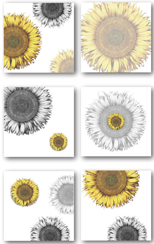 Set of 6 Napkins «Helianthus» 100% Made in Italy