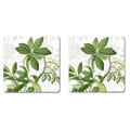 Hedycarya White set van 2 onderzetters in berkenfineer