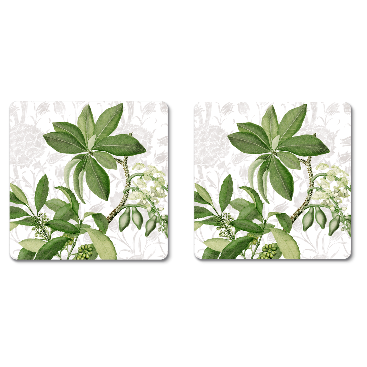 Hedycarya White set of 2 coasters in birch veneer