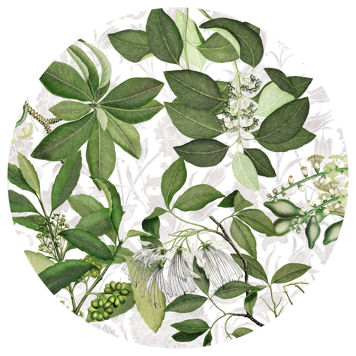 Hedycarya lino premium mantel con estampado botánico, vista 13