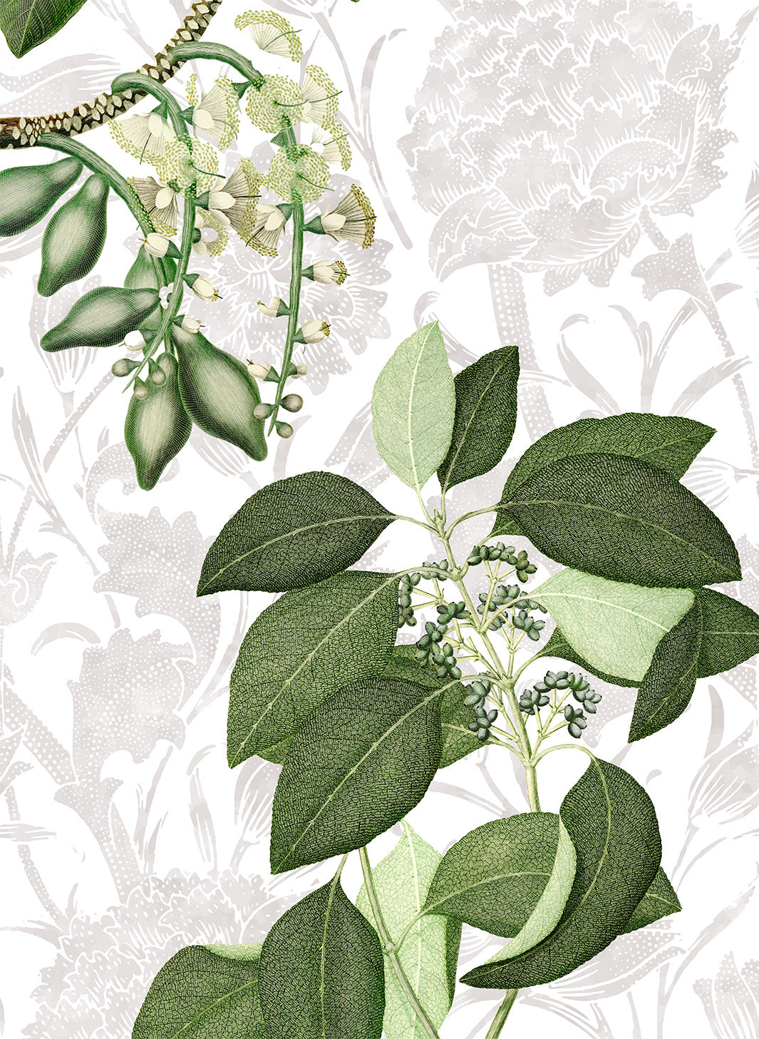 Hedycarya lino premium paño de cocina con estampado botánico, vista 6