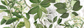 Hedycarya Premium Linen table runner with botanical print, Green