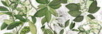 Hedycarya Premium Linen table runner with botanical print, Green