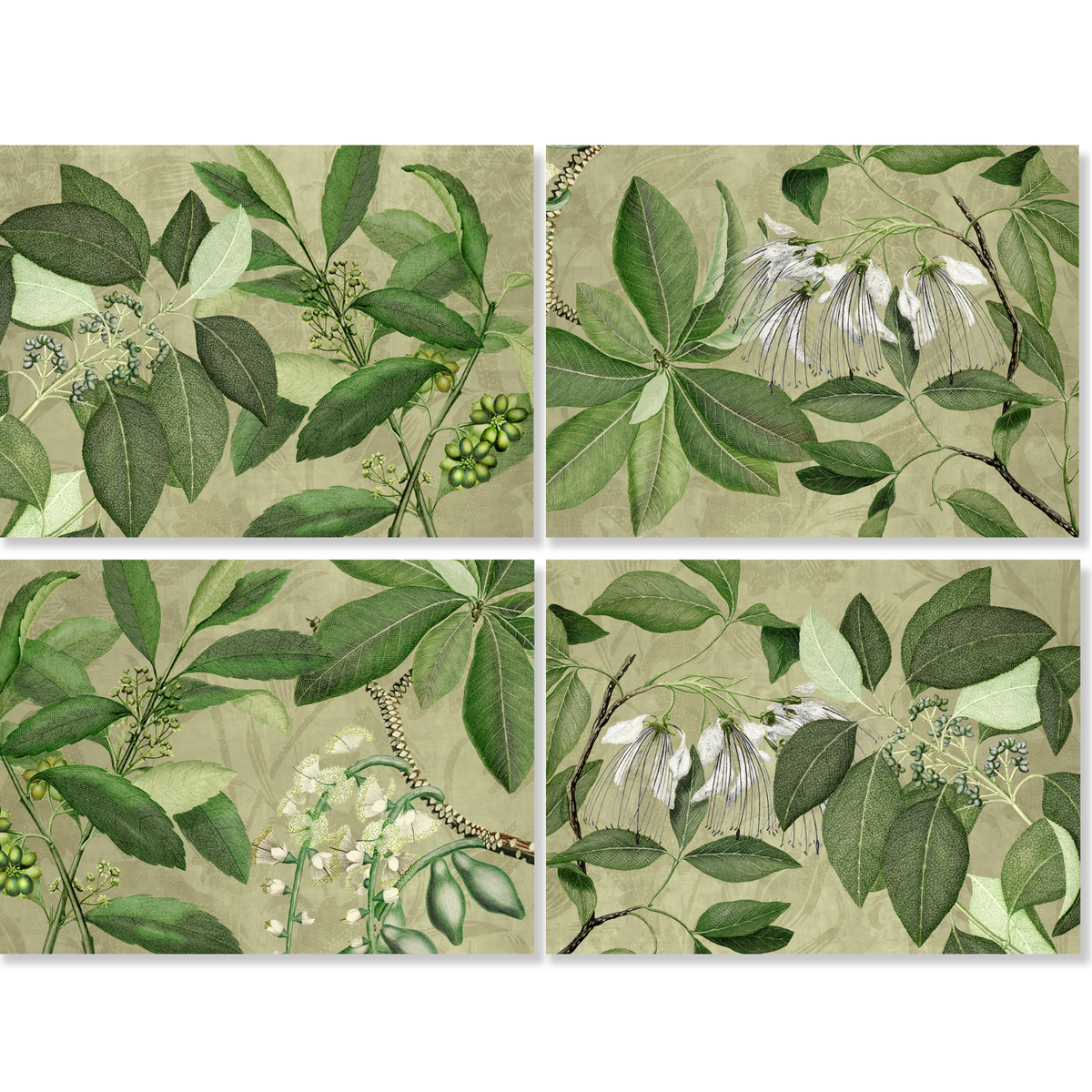 Hedycarya set de cuatro lino premium manteles individuales con estampado botánico, vista 4
