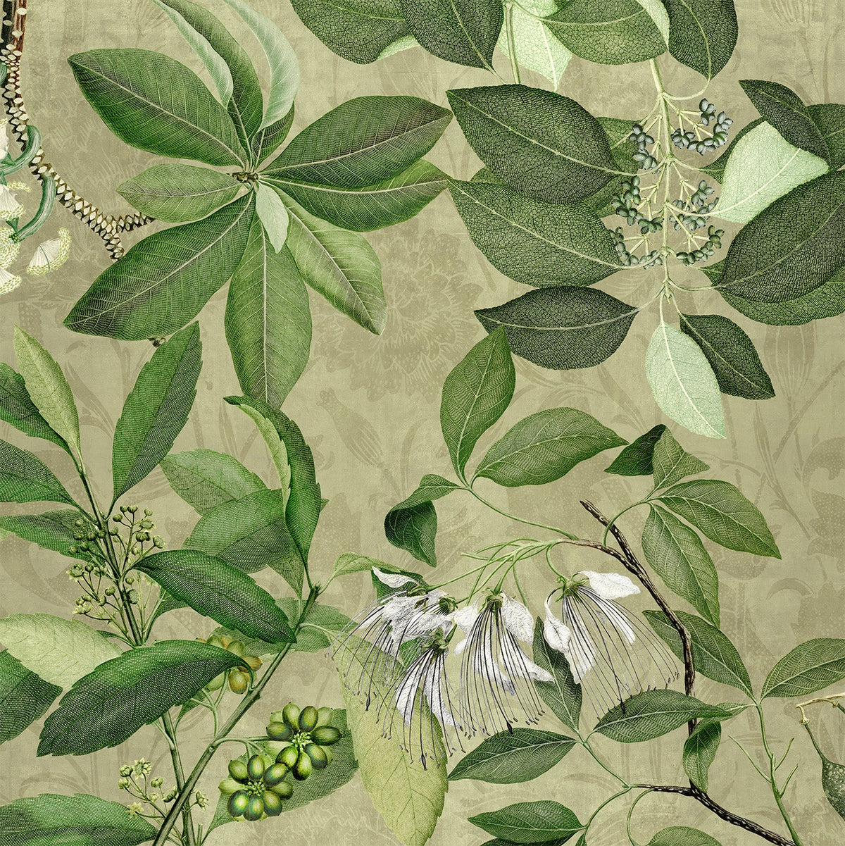 Hedycarya lino premium mantel con estampado botánico, 150 × 250 cm, blanco