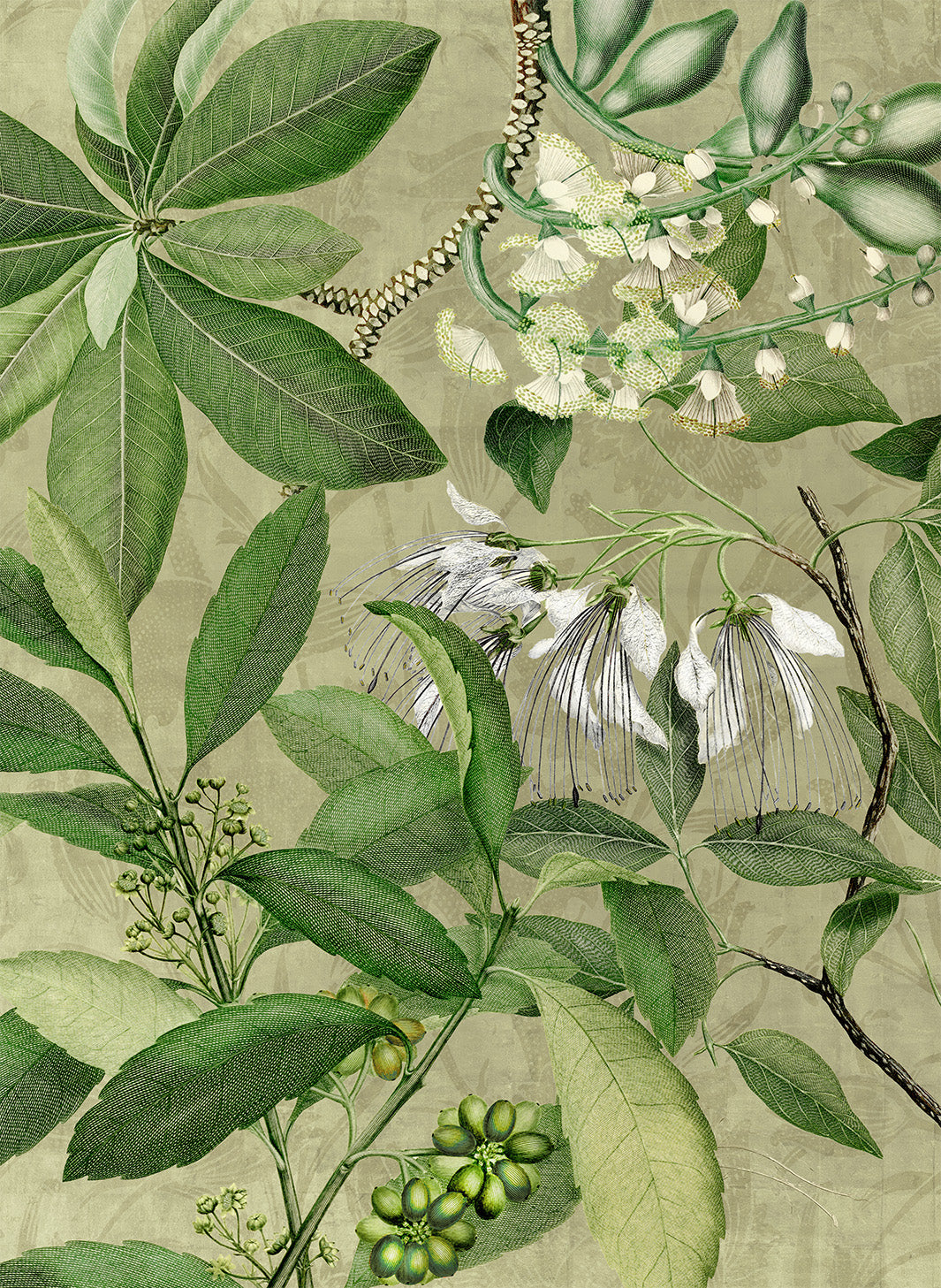 Hedycarya lino premium paño de cocina con estampado botánico, Paño de cocina Var. 2, blanco
