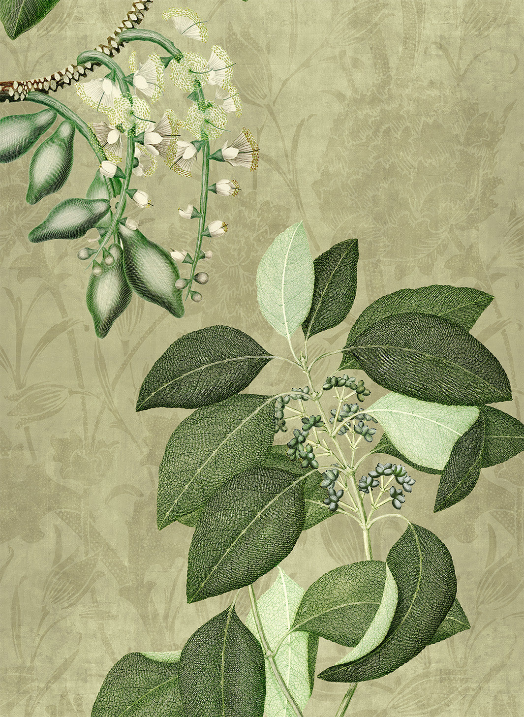 Hedycarya lino premium paño de cocina con estampado botánico, Paño de cocina Var. 2, verde