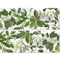 Hedycarya set of four Premium Linen placemats with botanical print, Green