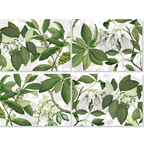 Hedycarya set of four Premium Linen placemats with botanical print, Green