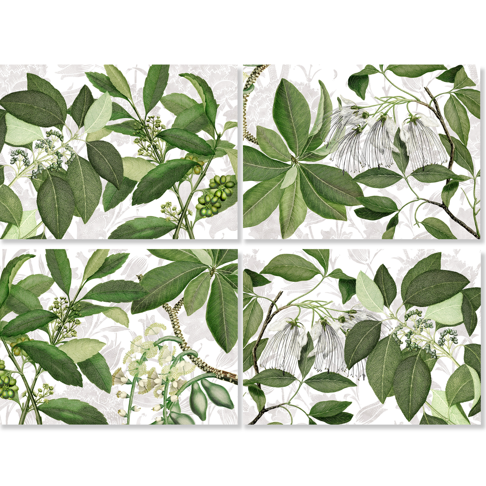 Hedycarya Set of 4 Premium Linen Placemats, The Napking home textile, Green