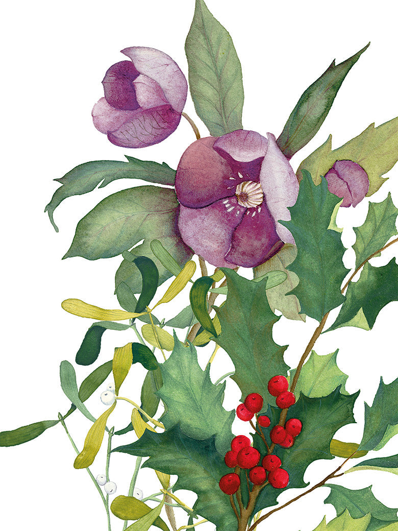 Kitchen Towels Helleborus 100% Made in Italy The Napking