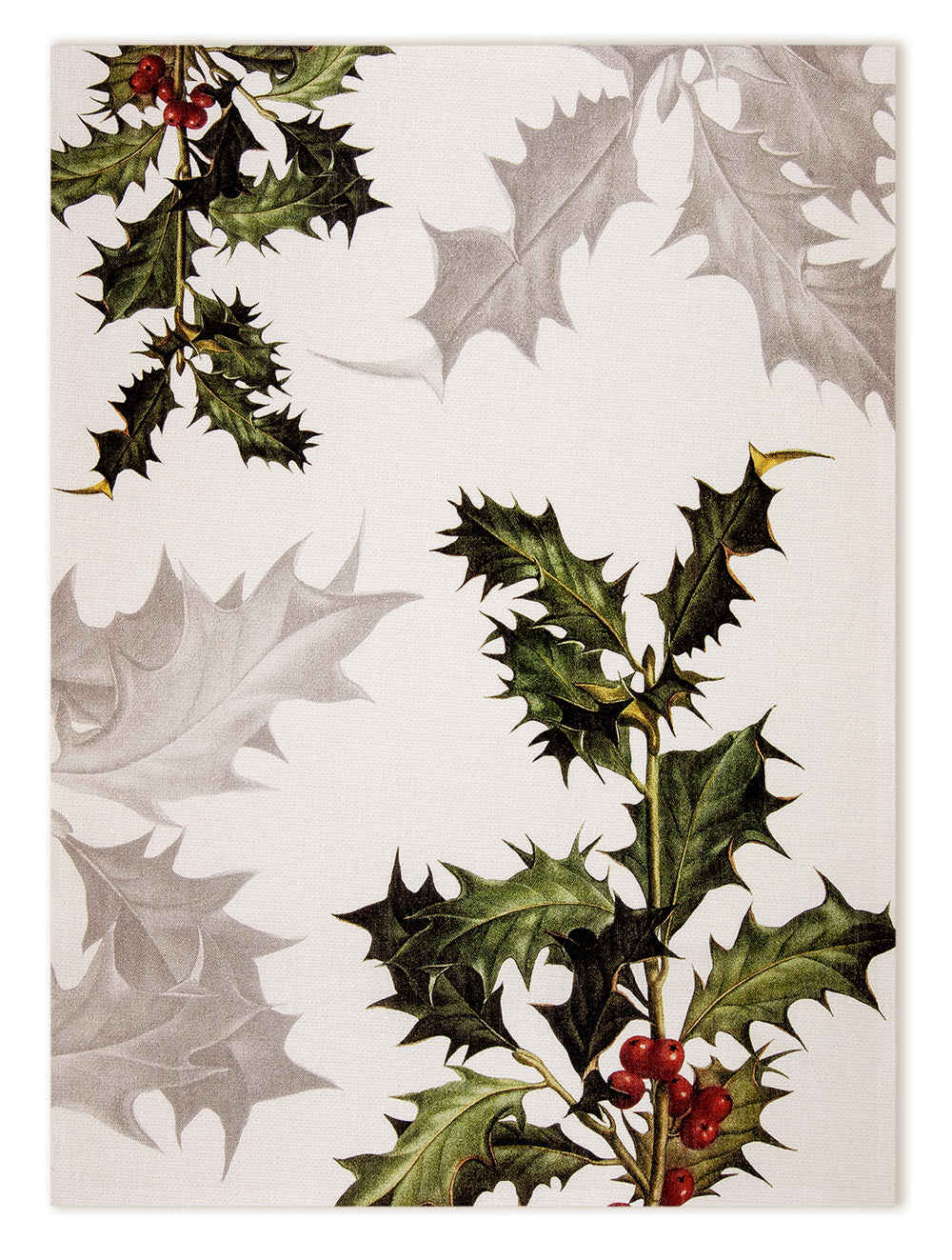 Kitchen Towels «Ilex», 100% Made in Italy The Napking