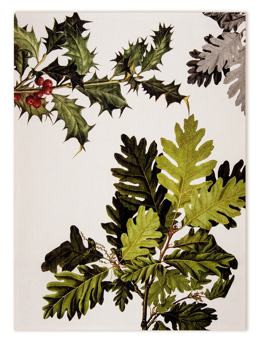 Kitchen Towels «Ilex», 100% Made in Italy The Napking