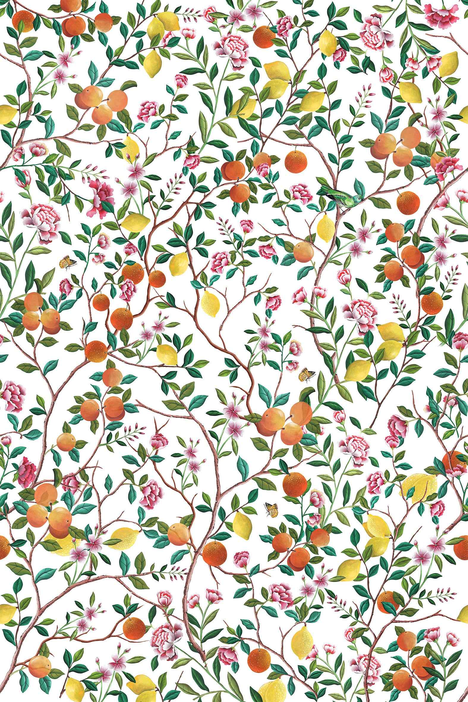 Les Agrumes Made to Measure Fabric