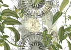 Tablecloths «Kaos» 100% Made in Italy The Napking
