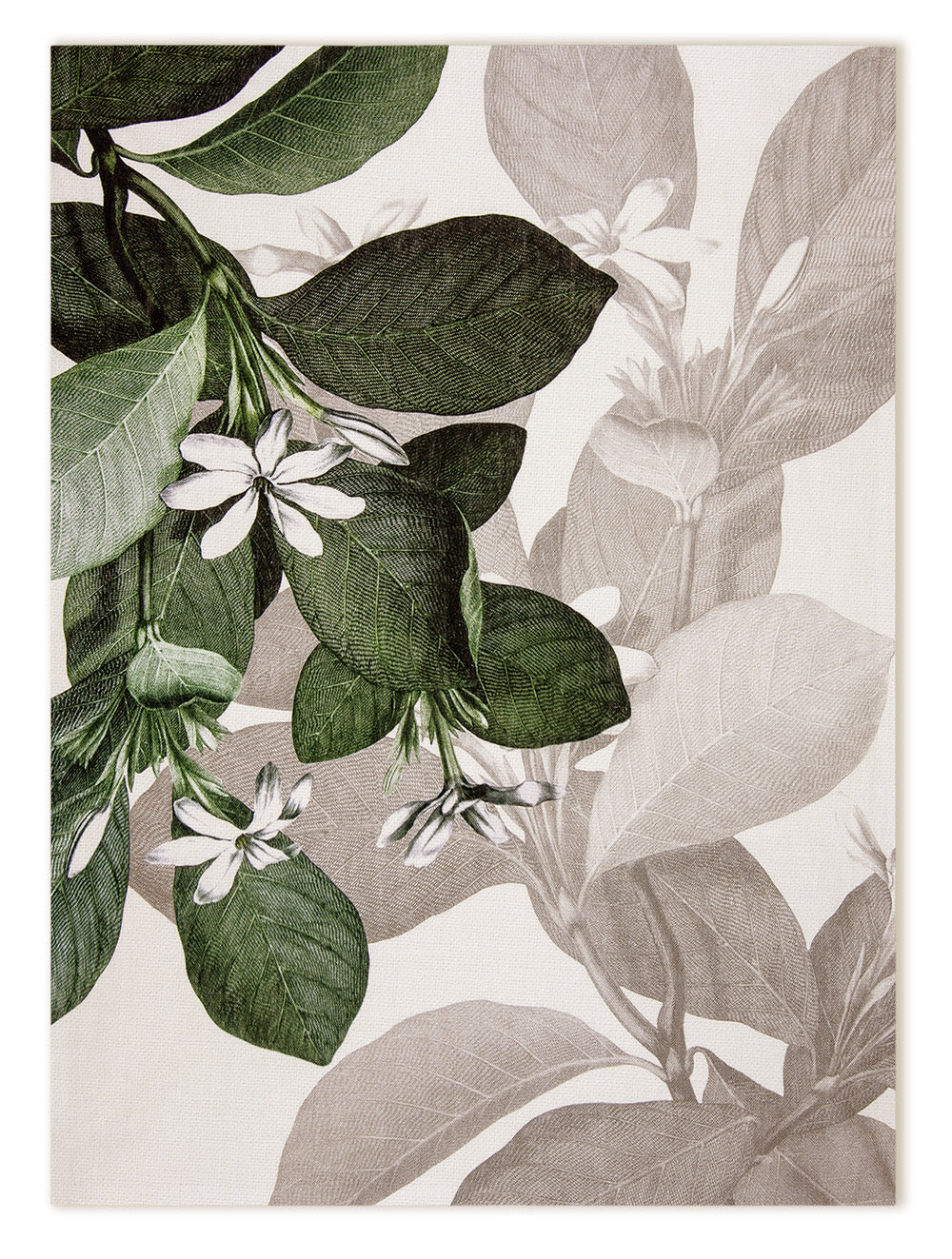 Kitchen Towels «Knighthia», 100% Made in Italy The Napking