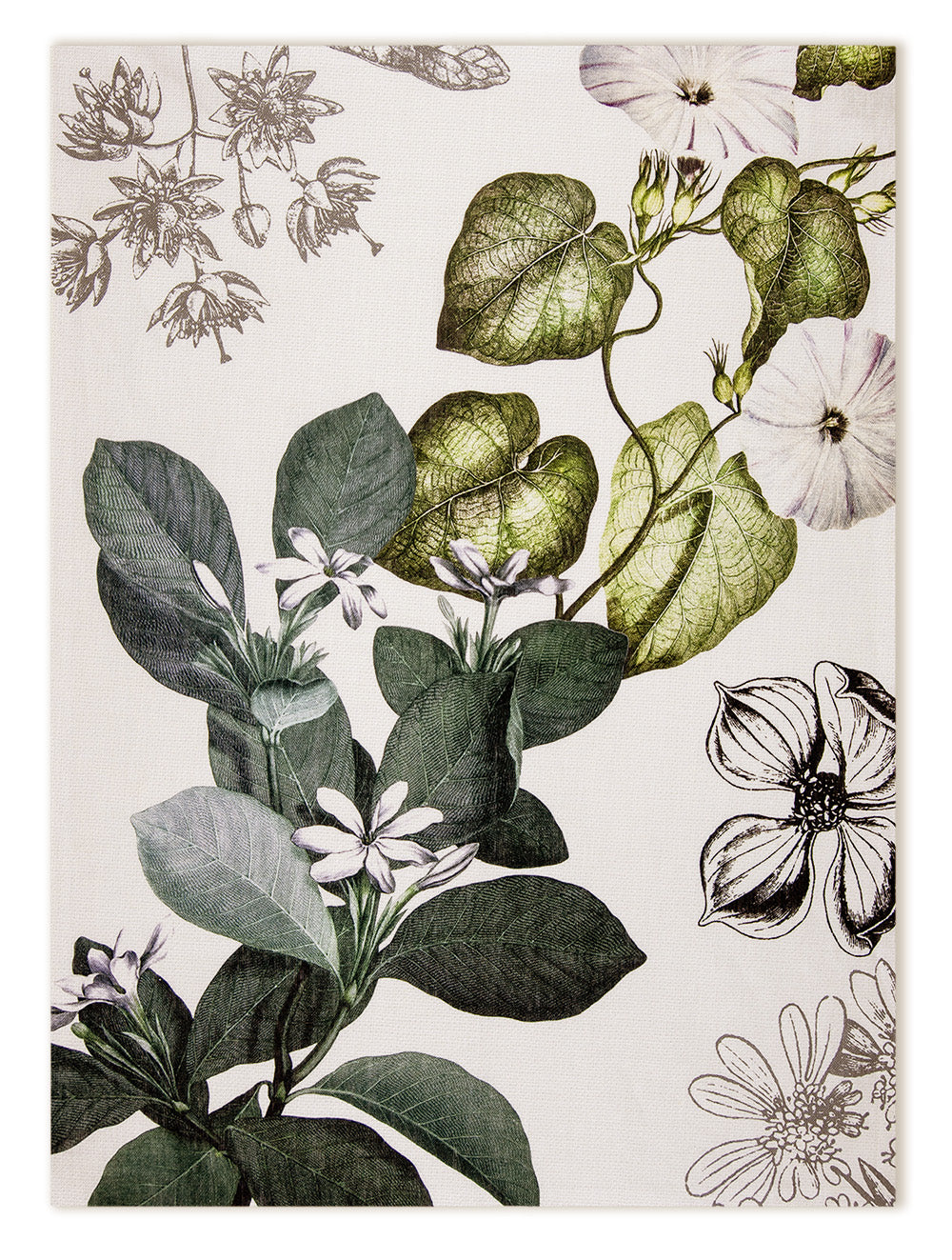 Kitchen Towels «Knighthia», 100% Made in Italy The Napking