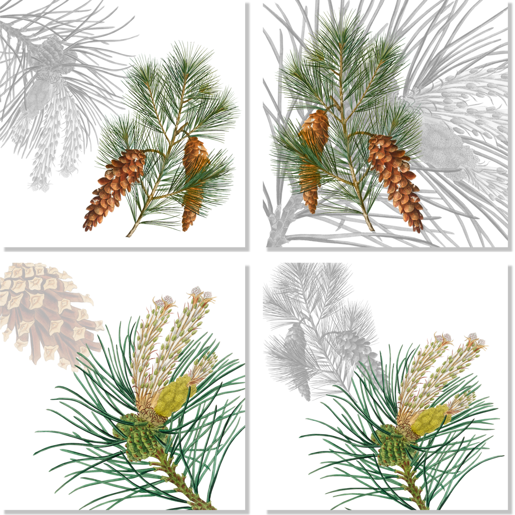 Set Of 4 Napkins Le Sapin 100% Made in Italy - The Napking